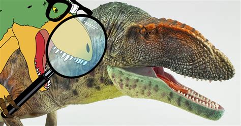 Carcharodontosaurus Gr Toys Paleo Nerd