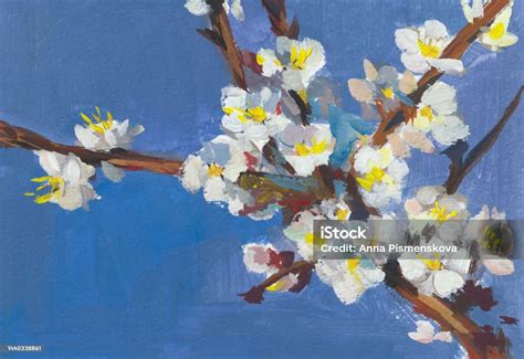 Blooming Apricot Gouache Painting Stock Illustration - Download Image ...