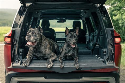 Rivians New Pet Comfort Mode Keeps Dogs Cats Cool In Vehicles