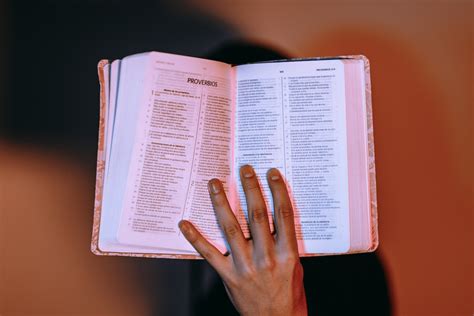 Distrito De Utah Proh Be La Biblia En Las Escuelas Primarias Y