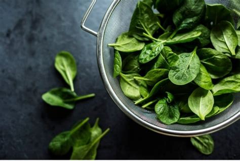 Weight Loss With Spinach 5 Reasons To Make Palak Your Winter Essential