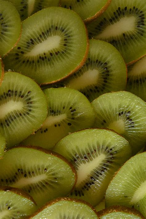 Can Dogs Eat Kiwi? A Complete Guide For Dog Owner