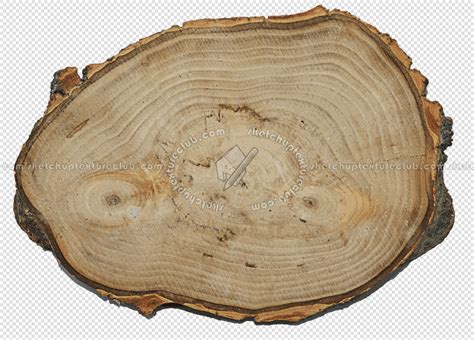 Wood logs texture 17396