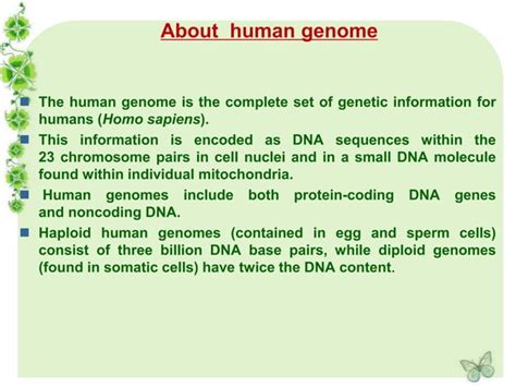 Human Genome Project By Kk Sahu