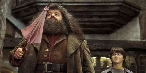 Why Hagrid Survived the Harry Potter Series