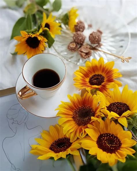 A Cup Of Coffee And Some Sunflowers On A White Table With A Drawing