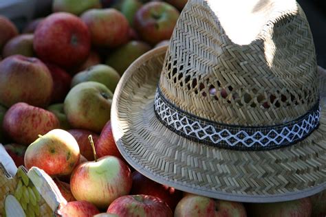 Brosch Re Streuobstwiese Neuauflage Jetzt Im Landratsamt Bamberg