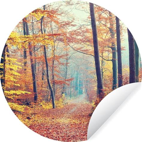 WallCircle Muurstickers Behangcirkel Bos Herfst Bladeren