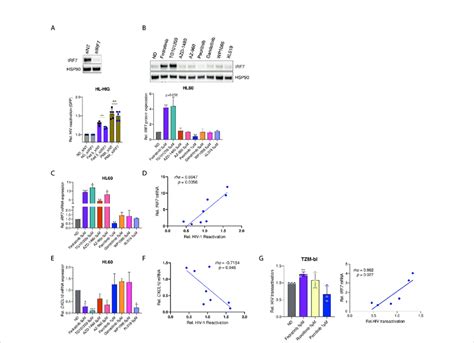 modulation  irf expression correlates  latency reversal