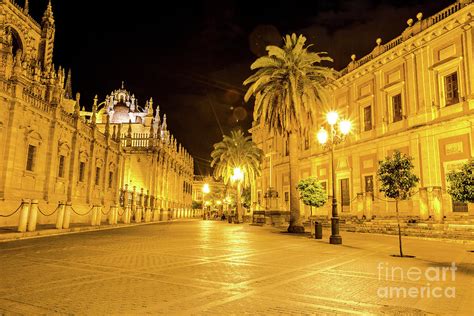 Cathedral of Seville by night Photograph by Benny Marty - Pixels