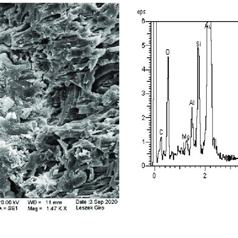 Microstructure Of Specimens Exposed To The Action Of Sulphate Ions