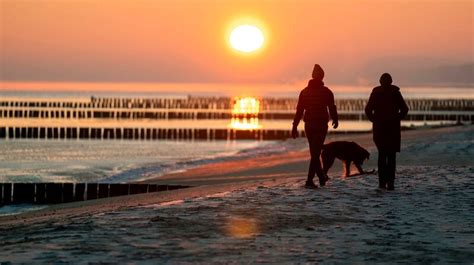 Der Usedom Krimi Friedhof Der Welpen Fernsehserien De