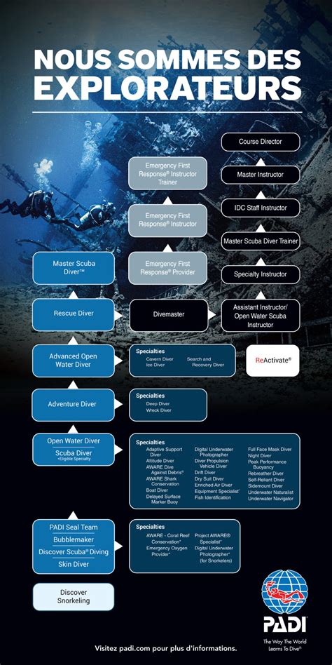 Structure Des Formations Padi Plong E Sous Marine Summum