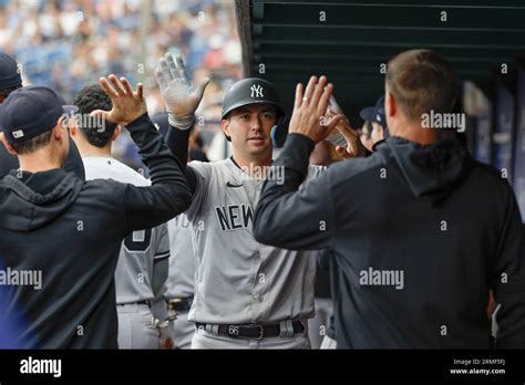 St. Petersburg, FL USA; New York Yankees catcher Kyle Higashioka (66 ...