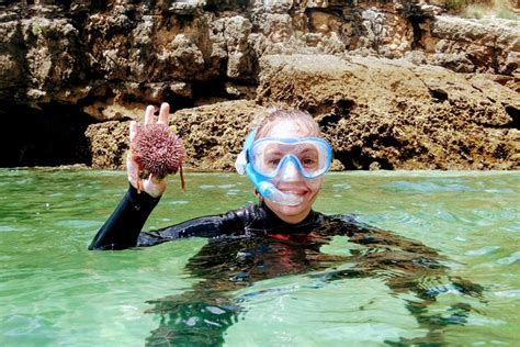 Arrábida Snorkeling Adventure With Transfer From Lisbon Triphobo