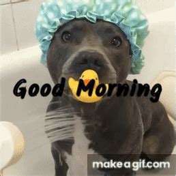 Good Morning Dog on Make a GIF