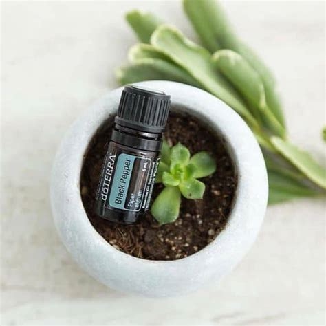 doTERRA Pimenta Preta Pimenta Preta Óleo Essencial 5ml AromaPro