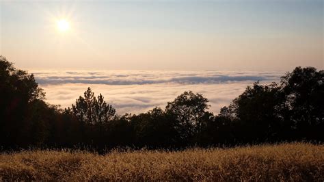 Fremont Peak State Park – California, United States – Randomwire