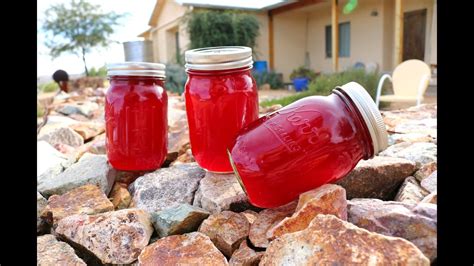 Prickly Pear Jelly How To Make Youtube