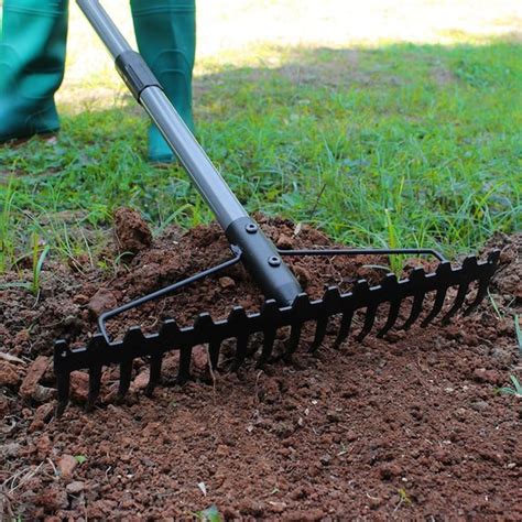 10 Types of Rakes and Their Uses | Garden rake, Family handyman, Landscaping around trees