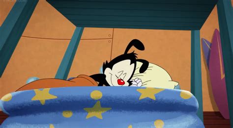 Animaniacs 2020 Yakko Naps By Yesieguia On Deviantart