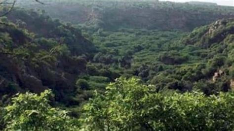 Villagers oppose opening up of Hasdeo Arand forest for coal mining in ...