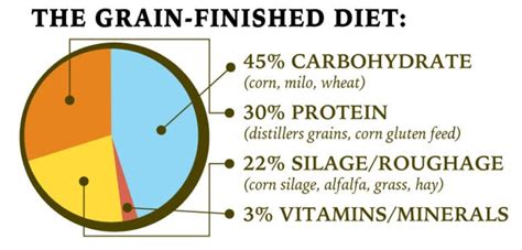 The Benefits Of Grass Fed Grain Finished Beef Tonys Meats And Market