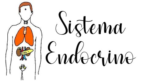 Sistema Endocrino JASMIN PIN UDocz