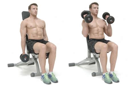 How To Do Seated Dumbbell Hammer Biceps Curls Image Exercise Guide