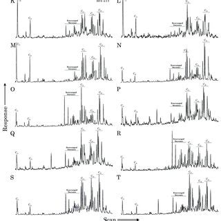 B Mass Chromatograms At M Z Showing The Sterane Distributions In