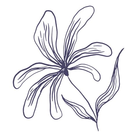 Little Flower Hand Drawn Png And Svg Design For T Shirts