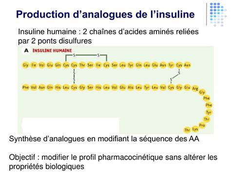 PPT Les Insulines Dispositifs Dadministration PowerPoint