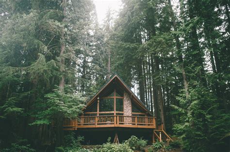 Forest Cabin | MyConfinedSpace