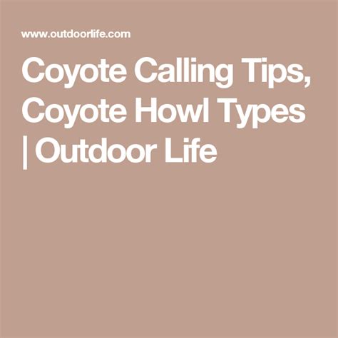 The 8 Coyote Howls And Calling Strategies You Need To Know With Images