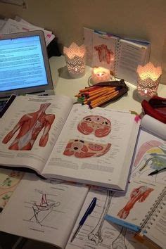 Anatomy Of The Body Biology I In Fikir T P Fak Ltesi T P