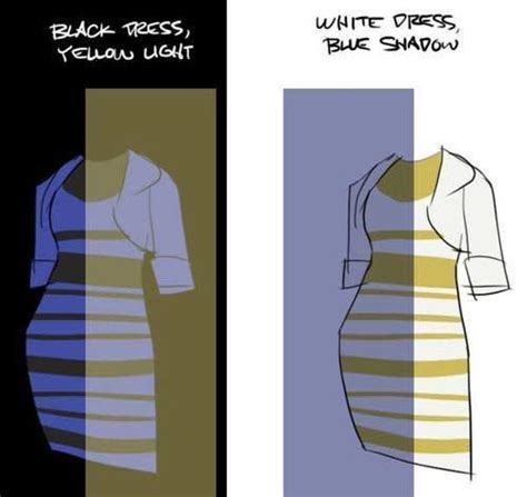 Explained Why People Cant Agree On The Color Of That Dress