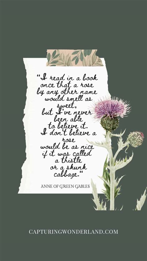 50 Best Anne Of Green Gables Quotes — Capturing Wonderland