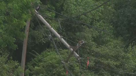 Strong Storms Bring Down Trees Knock Out Power In The North Hills