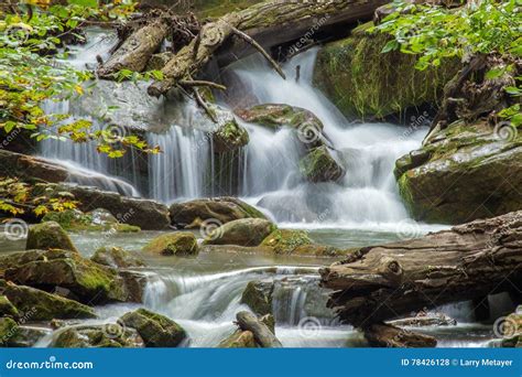 Roaring Run Creek, Jefferson National Forest, USA Stock Photo - Image ...