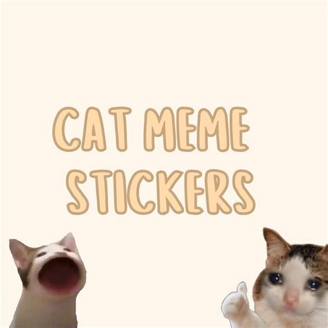 Cat Funny Meme Stationary Stickers random - Etsy