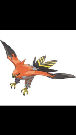 Talonflame Wiki Pokémon Amino