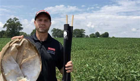 Video Corn Earworm In Soybean Nc State Extension