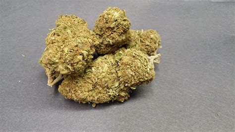 Sour Kush Strain Information And Reviews Where S Weed