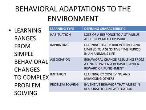 Ppt Behavioral Adaptations To The Environment Powerpoint Presentation