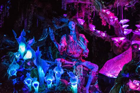 Na'vi River Journey at Walt Disney World | Attraction Insight