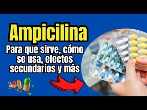 Qu Es Y Para Qu Sirve Ampicilina Mecanismo De Acci N Efectos