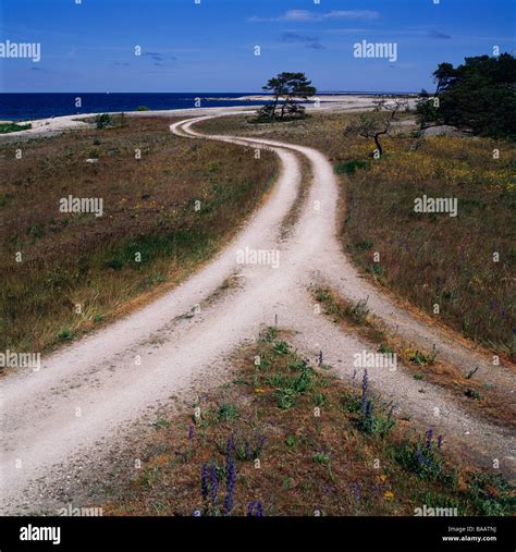 Curving Dirt Roads Hi Res Stock Photography And Images Alamy