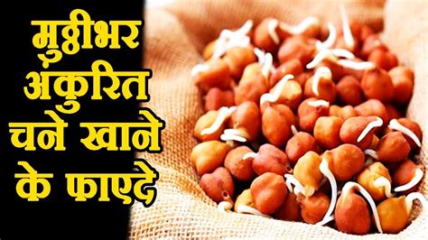 Health Benefits Of Sprouted Black Chickpeas Kala Chana Youtube