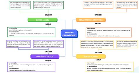 Organizador Visual Trabajo De Los Derechos Humanos DERECHO A LA