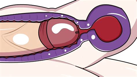 Animategolden Porn Videos Sex Model Nudes XHamster